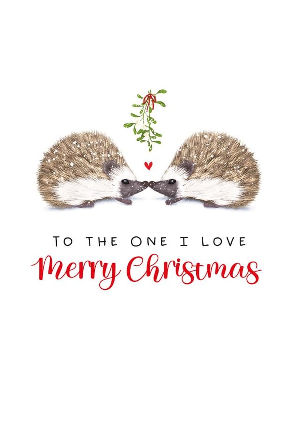 Cute Christmas Card - Hedgehogs - To The One I Love created by badgerbee design