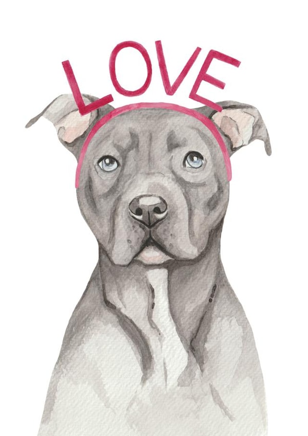 Cute Valentine's Day Card - Staffordshire Bull Terrier - Love created by lil wabbit