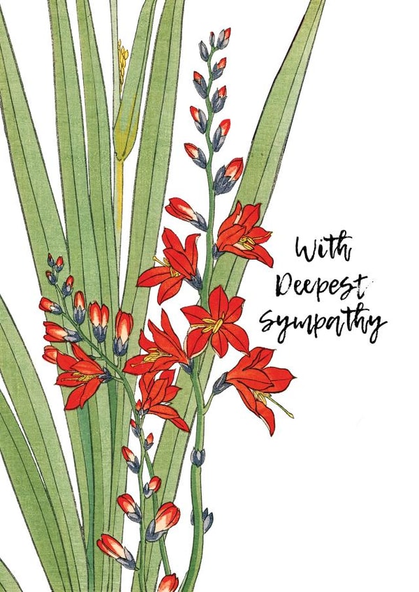 Traditional Sympathy Card - Flowers created by David Bennett