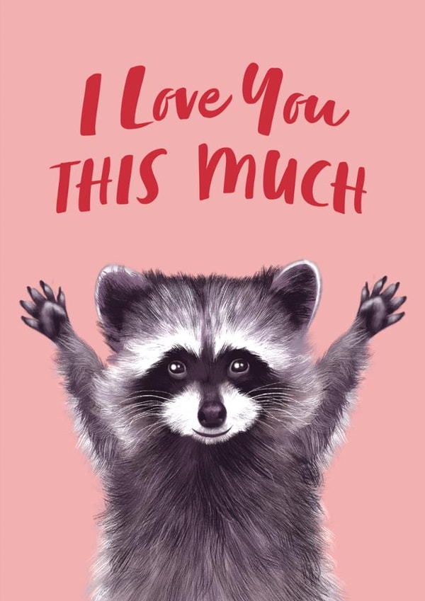 Cute Valentine's Day Card - Racoon - I Love You This Much created by Debbie Daley Illustrations