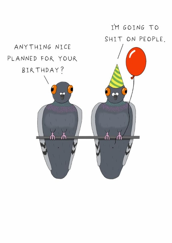 Funny Birthday Card - Rude Pigeons created by AJS STUDIOS