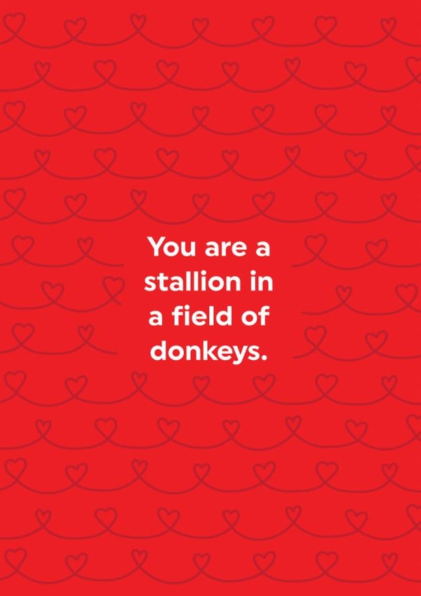 Funny Valentine's Card - Stallion In A Field Of Donkeys - Hearts created by Brainbox Candy