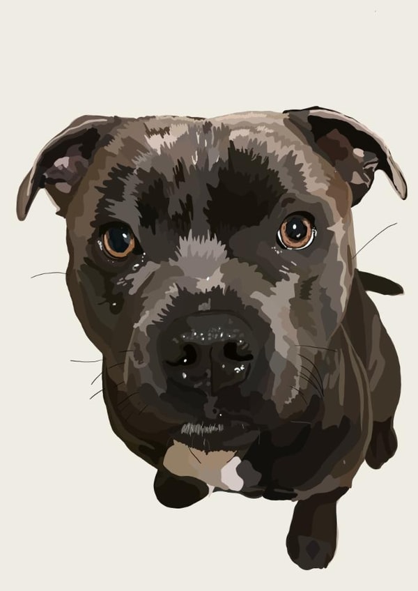 Cute Birthday/Just Because Card - Staffy - Dog created by Freya Fuller