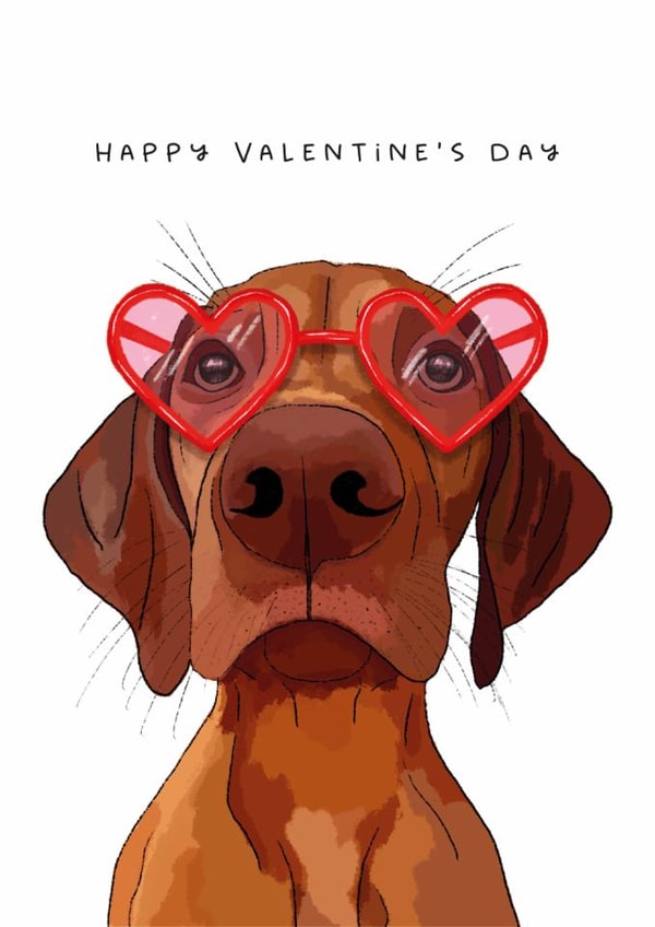 Cute Valentine's Day Card - Vizsla - From the Dog created by badgerbee design