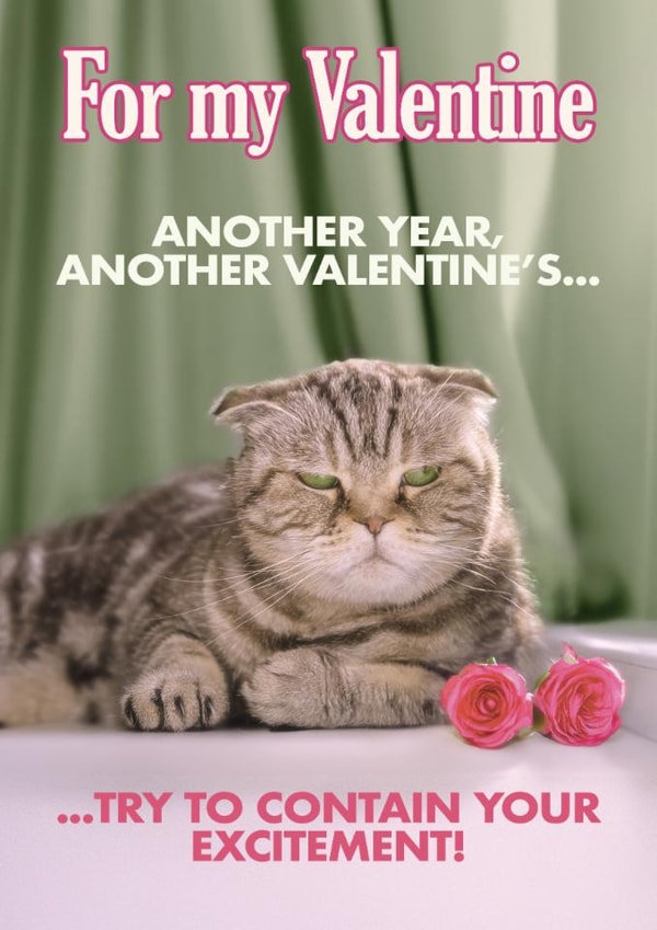 Funny Valentine's Card - Grumpy Cat created by Quitting Hollywood