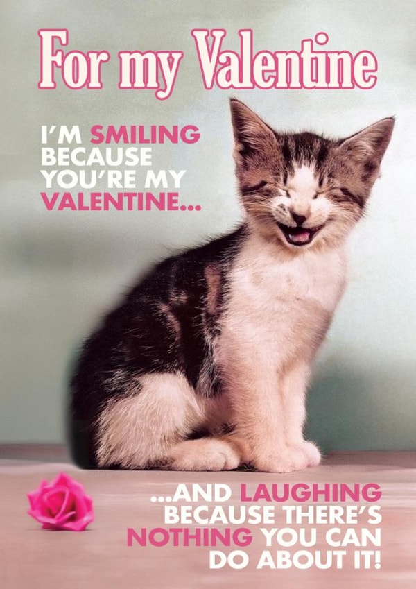 Funny Valentine's Day Card - Nothing You Can Do About It created by Quitting Hollywood