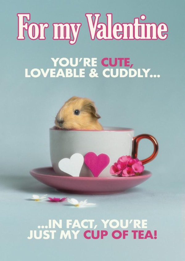 Funny Valentine's Day Card - You're My Cup Of Tea - Guinea Pig | thortful