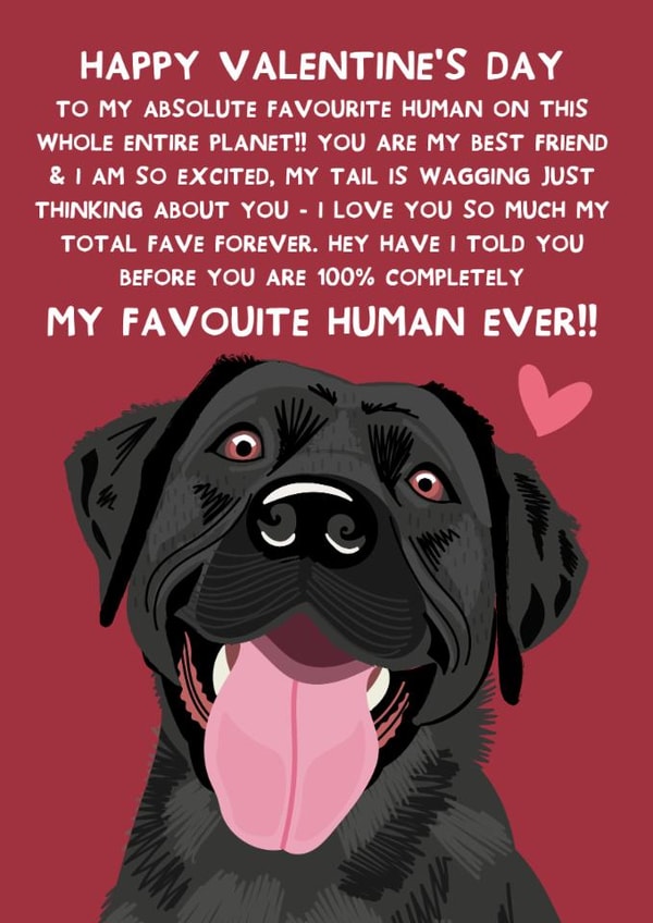 Cute Valentine's Day Card - From The Dog - Black Labrador created by From The Dog