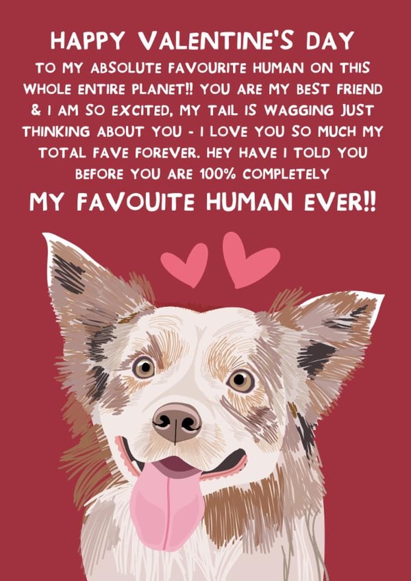 Cute Valentine's Day Card - From The Dog - Border Collie created by From The Dog