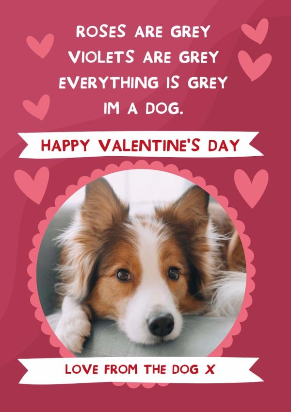 Cute Valentine's Card - From The Dog - Hearts | thortful
