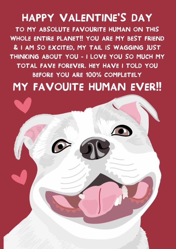 Cute Valentine's Card - From the Dog - White Staffordshire Bull Terrier created by From The Dog