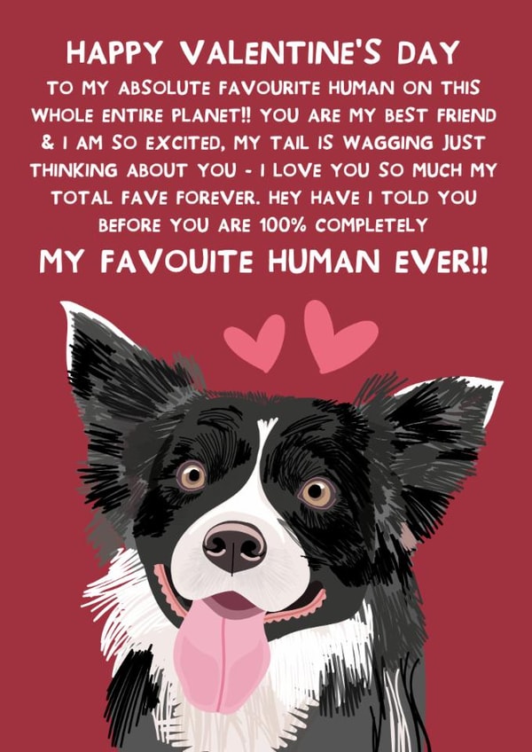 Cute Valentine's Day - From the Dog - Border Collie created by From The Dog