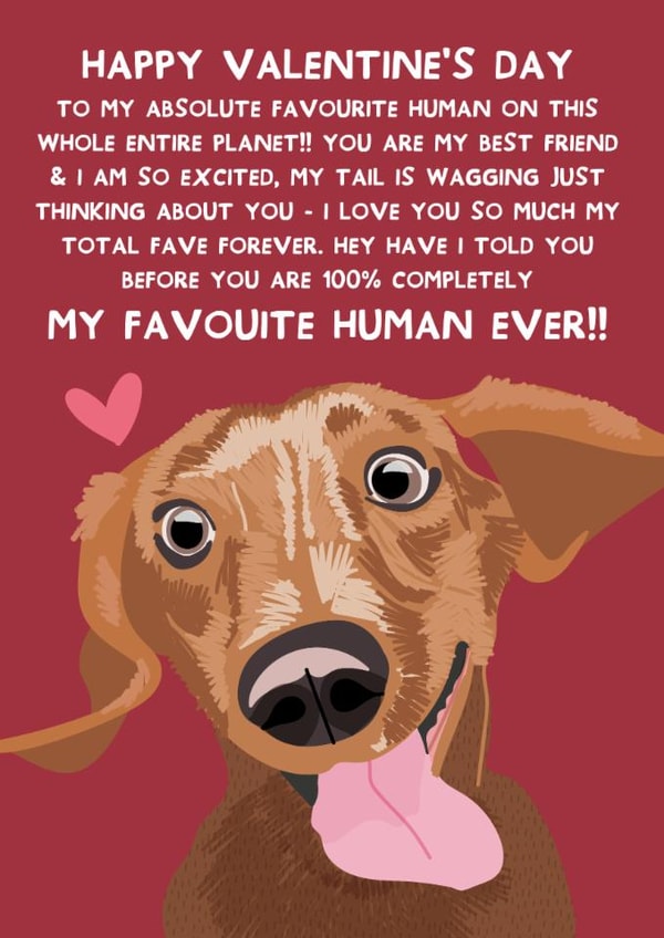 Cute Valentine's Day Card - From The Dog - Dachshund Dog created by From The Dog