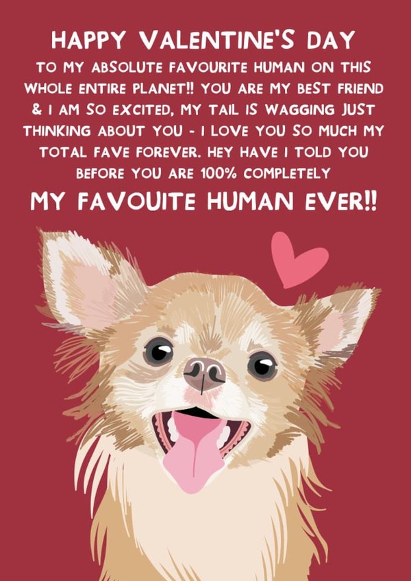 Cute Valentine's Day Card - From the Dog - Chihuahua created by From The Dog