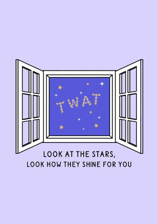 Funny Birthday Card - Stars Shine For You - Twat created by Studio GRL UK