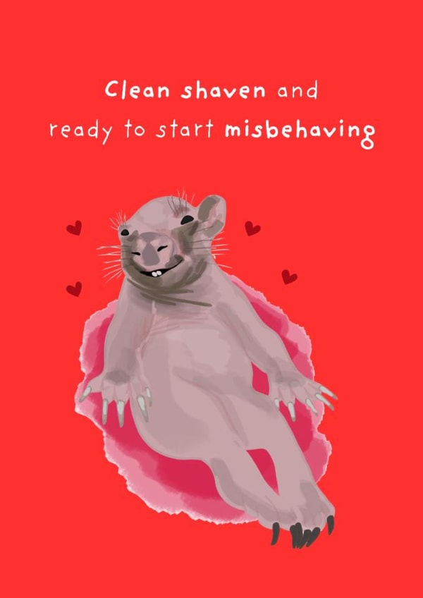 Funny Valentine's Day Card - Naked Mole Rat - Clean Shaven created by Original Fox Cards