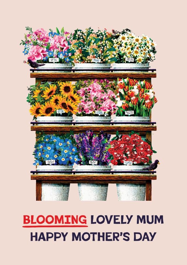 Pretty Mother's Day Card - Flower Stand - Blooming Lovely created by Folio | Ian Owen