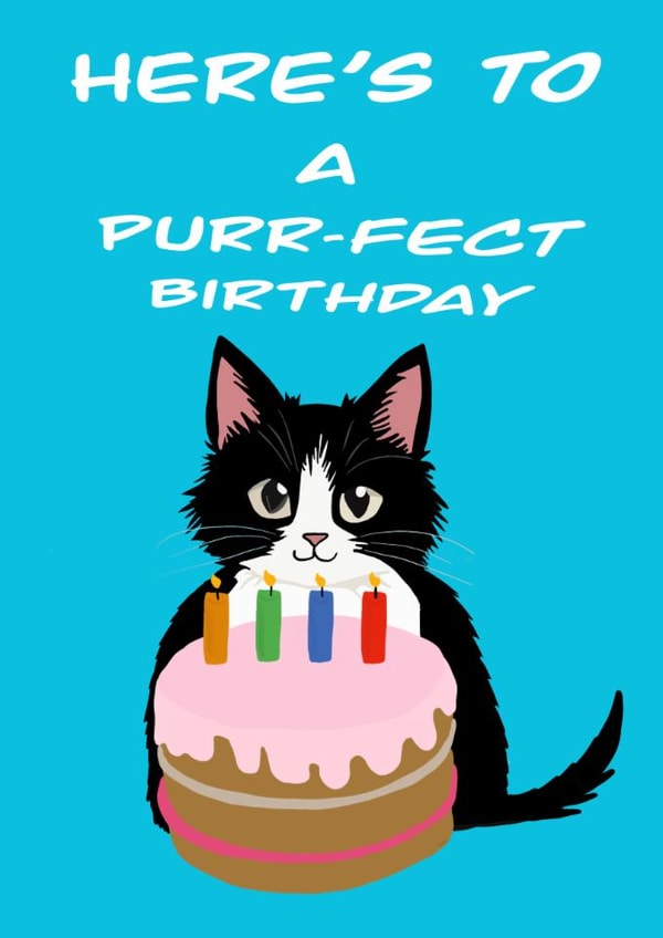 Fun Cat Birthday Card ‘Heres to a Purr-fect birthday ’ for Friends or Cat Lovers created by Sarah Barker Illustrations