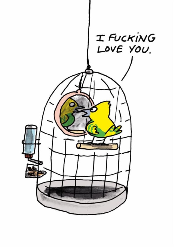 Funny Cartoon Valentine's Card - For Significant Other - Budgie Mirror created by Cardinky