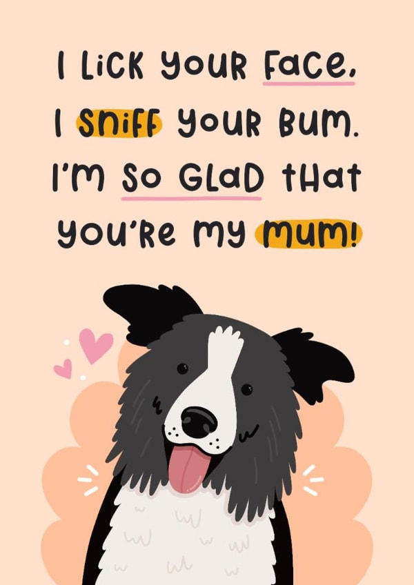 Cute Mother's Day Card - From The Dog - Border Collie created by Joanne Hawker