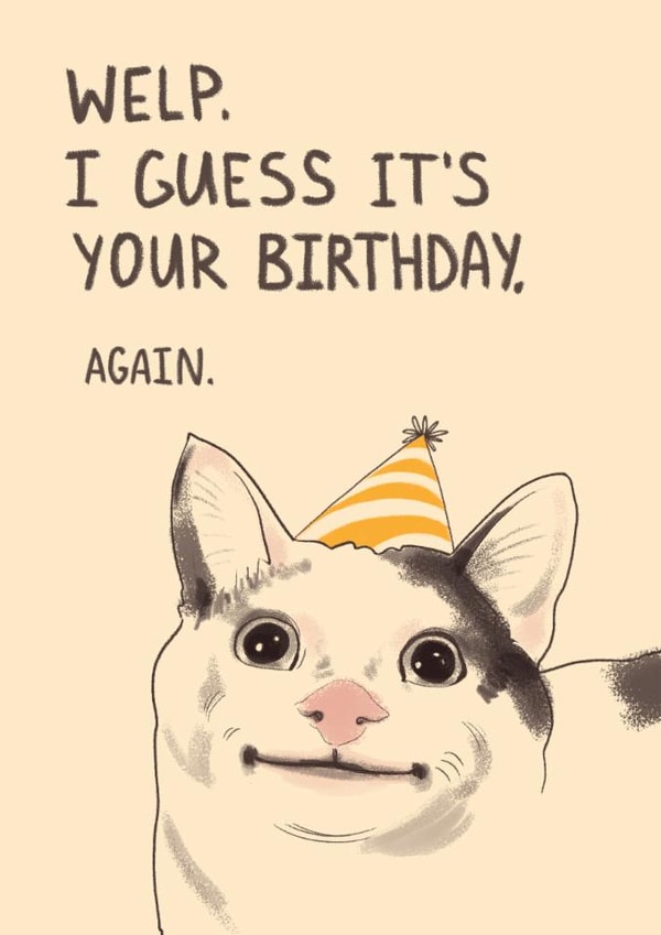 funny meme happy birthday cat for best friends for her for him celebration cute created by Livensir