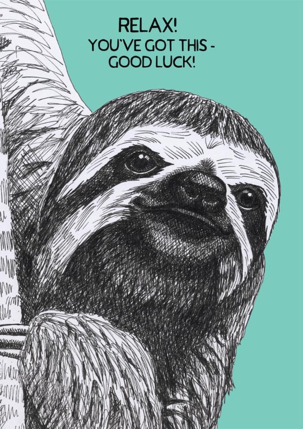 Cute Good Luck Card - Relax! - You've Got This created by Perkins & Morley