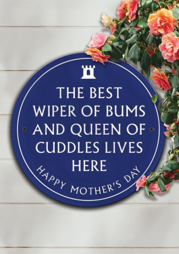 Funny Mother's Day Card - Best Wiper Of Bums - From The Kids created by Brainbox Candy