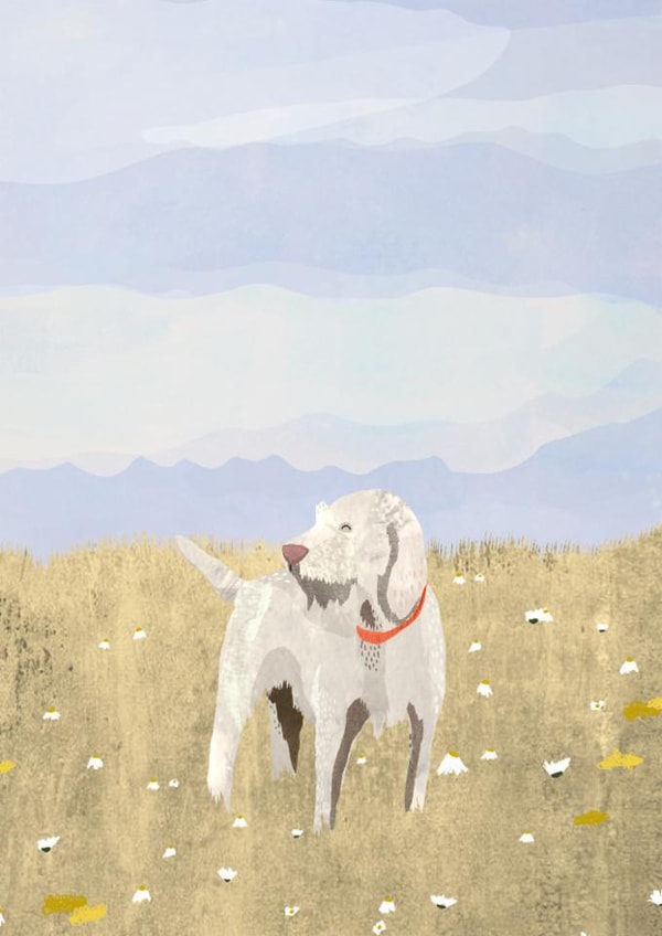 Cute Just Because Card - Italian Spinone created by Madeleine Groves