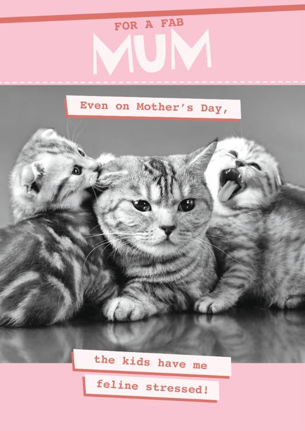 Funny Mother's Day Card - Feline Stressed created by Quitting Hollywood