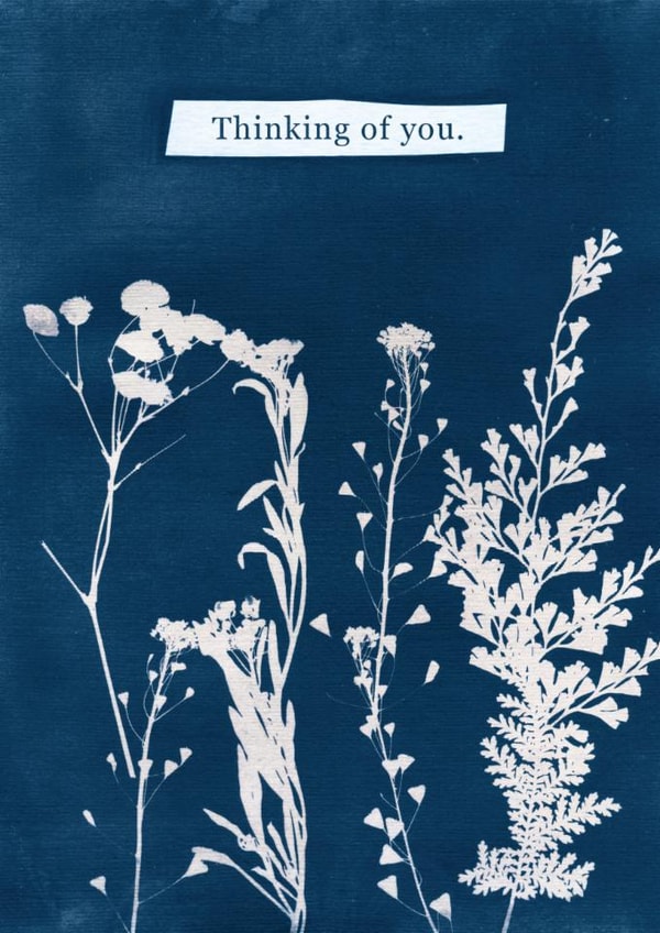 Arty Thinking Of You Card - Cyanotype Flowers created by Studio Pistachio
