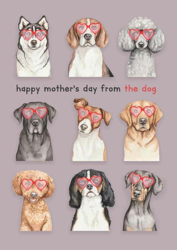 Cute Mother's Day Card - Dogs In Sunglasses created by lil wabbit