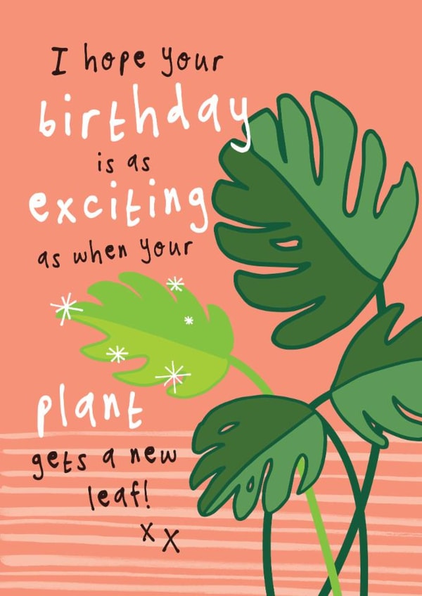 Fun Birthday Card - Monstera Swiss Cheese Plant - Houseplants created by Bow & Bell