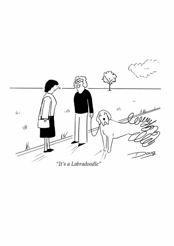 Fun Just Because Card - It's A Labradoodle - Cartoon created by Doug The Cartoonist