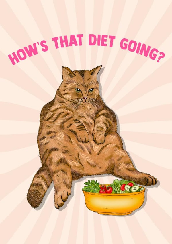 Funny Love & Friendship/Just Because Card - How's The Diet Going? - Cat created by Poppy & Mabel