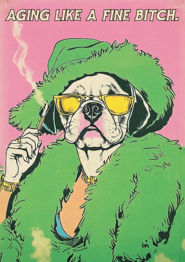 Funny Birthday Card - For Her - Aging Like A Fine Bitch created by Sophie Barrott