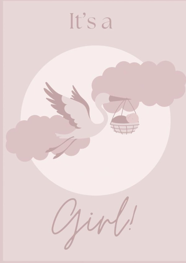 Newborn Baby Girl created by LizzyChloe