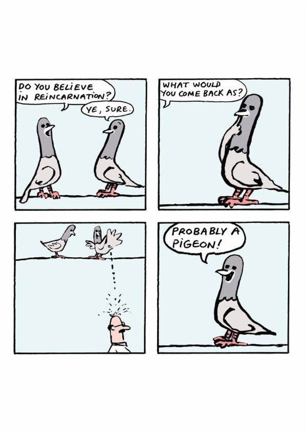 Funny Cartoon Comic Card - Pigeon Reincarnation created by Cardinky