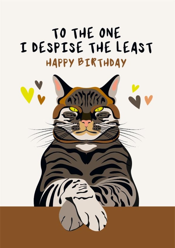 Funny Birthday Card - Grumpy Tabby Cat - Despise The Least | thortful