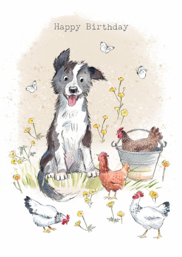 Cute Birthday Card - Border Collie Dog with Hens created by Paper Shed Design