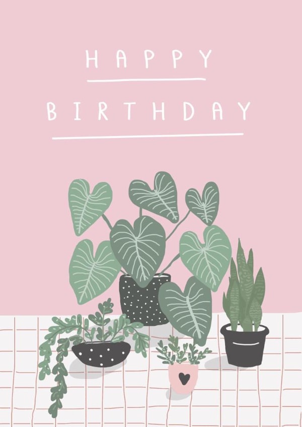 Pretty Birthday Card - House Plants created by Belly Flops 