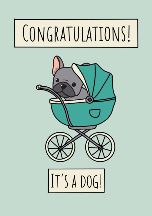 Cute Congratulations Card - New Dog - French Bulldog created by Natalie Tuck