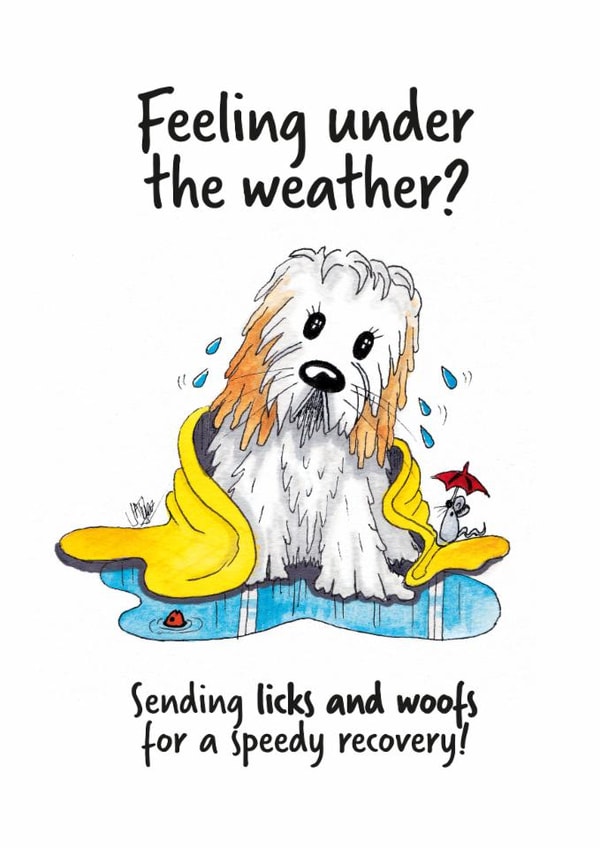 Cute get well card for friends and family, from the poodle-mix doggie breeds created by MR. BISCUIT