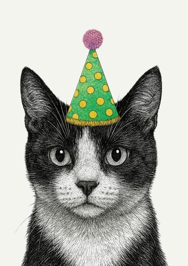 Cute Birthday Card - Party Cat created by Vicky