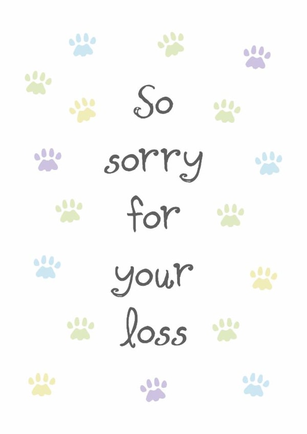 Classic Sympathy Card - So Sorry For Your Loss - Cat Paw Prints created by size3art