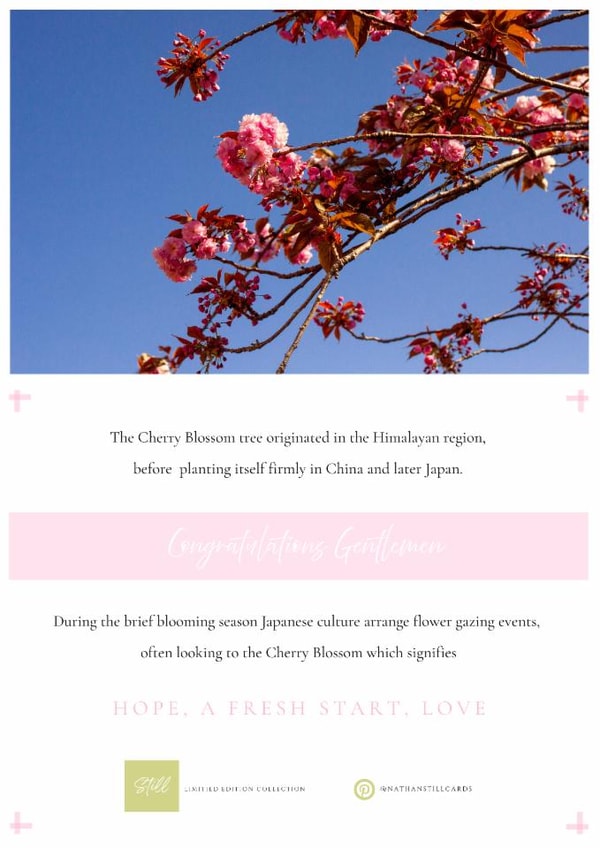 LGBTQ Congratulations Male Gay Couple Card - Clean, minimalist, inclusive created by Nathan Still Cards