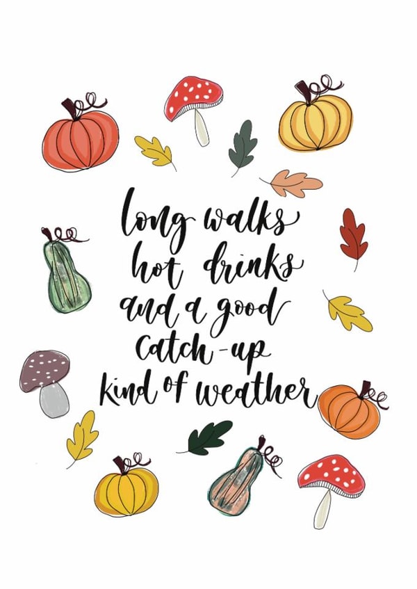 Autumn Card - Long Walks, Hot Drinks & Catch Ups - Pumpkin Seasonal Design created by Creative Feel Designs