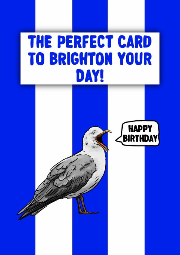 Brighton FC Birthday Card - The Seagulls - Pun created by ZB CREATIVE