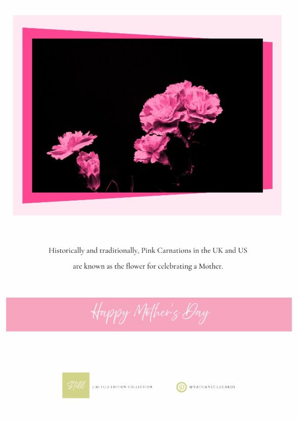 Pink Carnations Fine Art Contemporary Card for Mother's Day - minimalist created by Nathan Still Cards