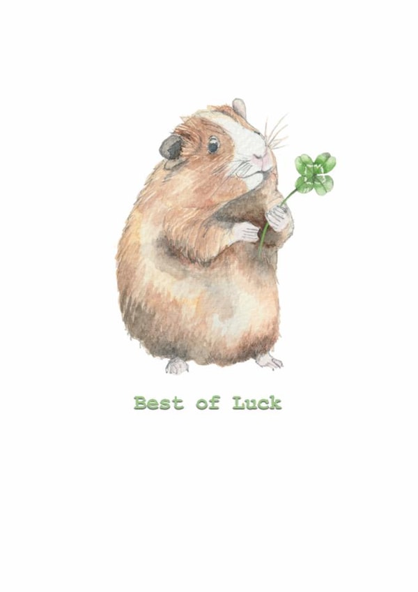 Cute Good Luck Card - Guinea Pig created by Crumble and Core