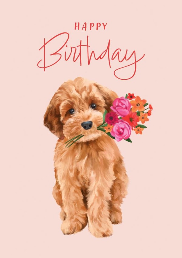 Cute Birthday Card - Cockapoo - Flowers created by Debbie Daley Illustrations